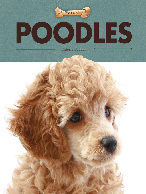Title details for Poodles by Valerie Bodden - Available